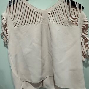 Sandro Blush Blouse